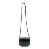 Kisslock Shoulder Bag Green in Python Leather, Silver hardware